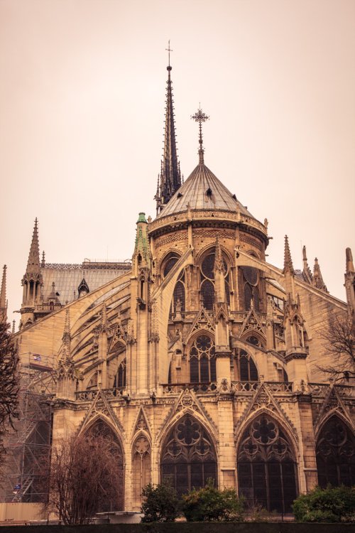 Back of Notre Dame